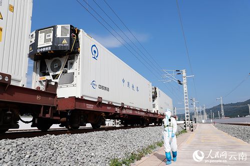 從磨憨鐵路口岸到舌尖上的自由 道路貨物運輸如何打通美食新絲路